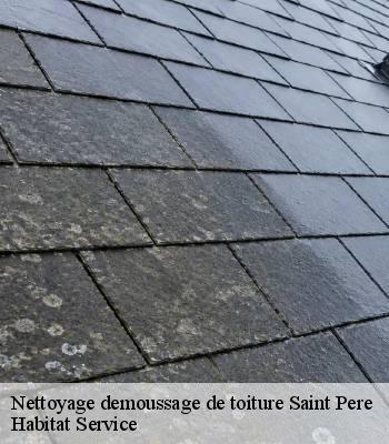 Nettoyage demoussage de toiture