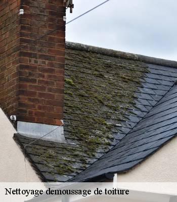 Nettoyage demoussage de toiture