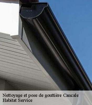 Nettoyage et pose de gouttière