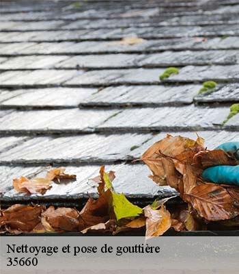 Nettoyage et pose de gouttière