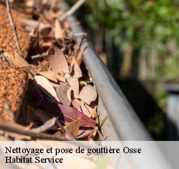 Nettoyage et pose de gouttière