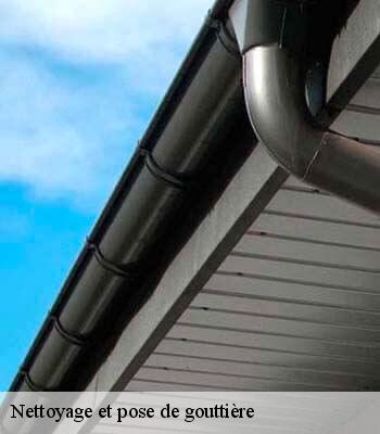 Nettoyage et pose de gouttière