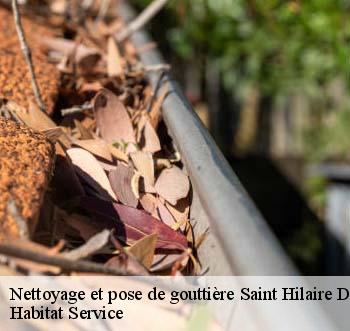 Nettoyage et pose de gouttière