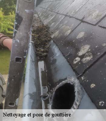 Nettoyage et pose de gouttière