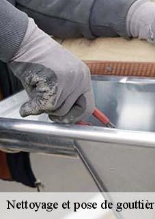 Nettoyage et pose de gouttière