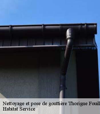Nettoyage et pose de gouttière