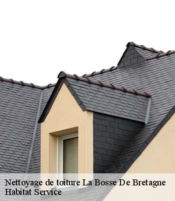 Nettoyage de toiture
