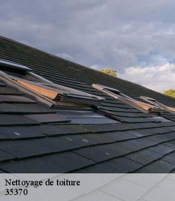 Nettoyage de toiture