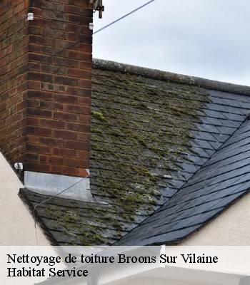 Nettoyage de toiture