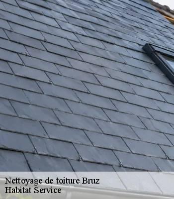 Nettoyage de toiture