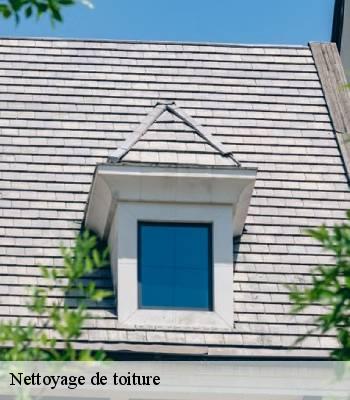 Nettoyage de toiture