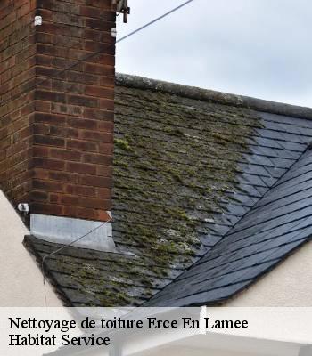 Nettoyage de toiture