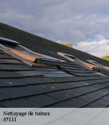 Nettoyage de toiture