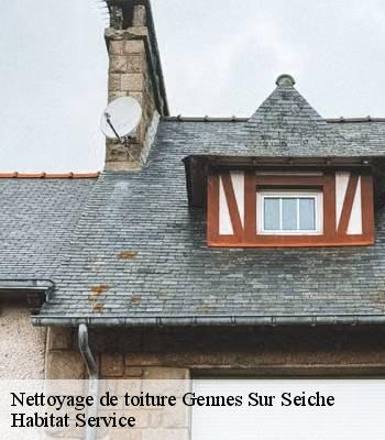 Nettoyage de toiture