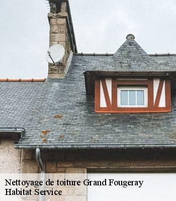 Nettoyage de toiture