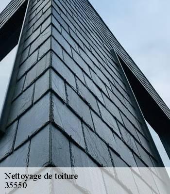 Nettoyage de toiture
