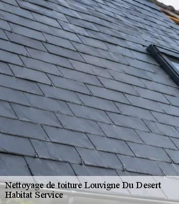 Nettoyage de toiture