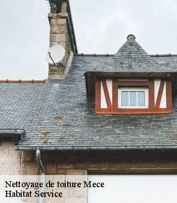 Nettoyage de toiture