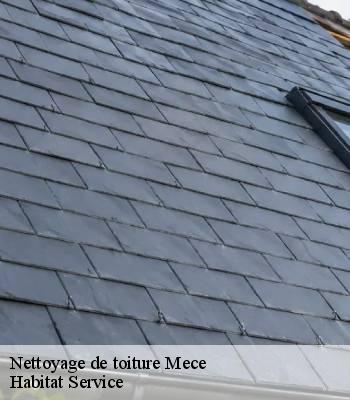Nettoyage de toiture