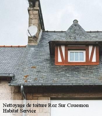 Nettoyage de toiture