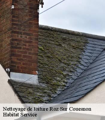 Nettoyage de toiture