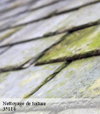 Nettoyage de toiture