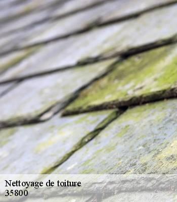 Nettoyage de toiture
