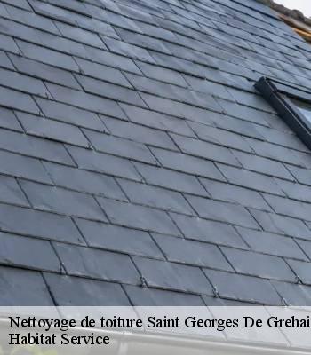 Nettoyage de toiture