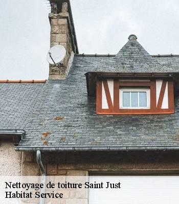 Nettoyage de toiture