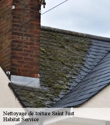 Nettoyage de toiture
