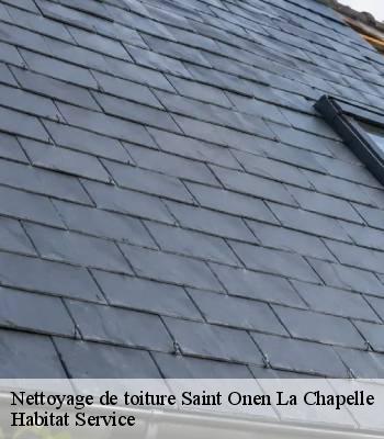 Nettoyage de toiture