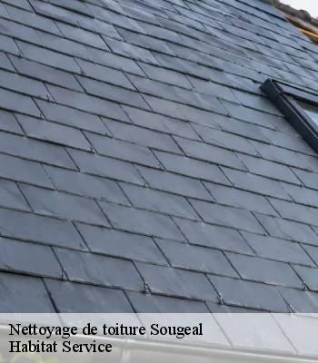Nettoyage de toiture