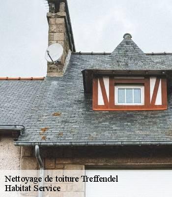 Nettoyage de toiture