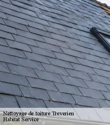 Nettoyage de toiture