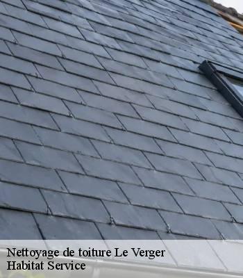 Nettoyage de toiture