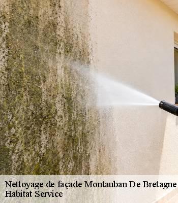 Nettoyage de façade
