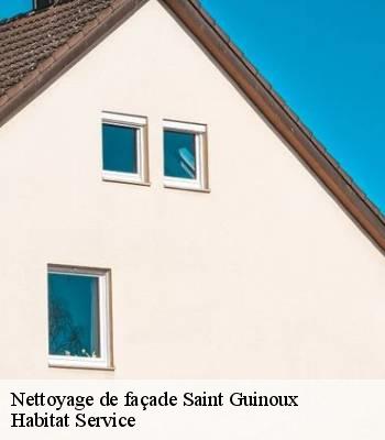 Nettoyage de façade