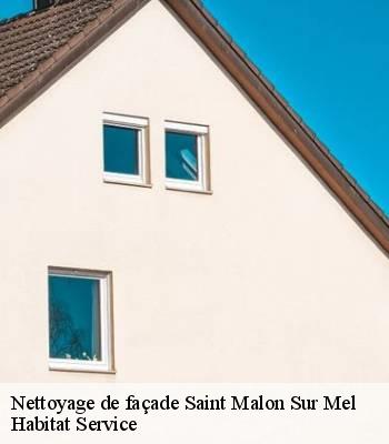 Nettoyage de façade