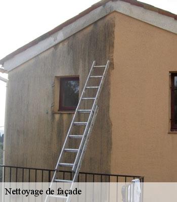 Nettoyage de façade
