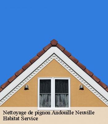 Nettoyage de pignon