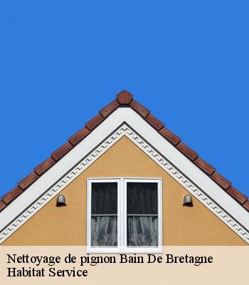 Nettoyage de pignon