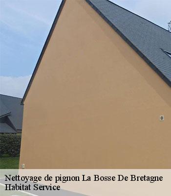 Nettoyage de pignon