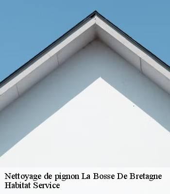 Nettoyage de pignon
