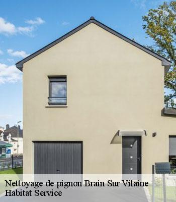 Nettoyage de pignon