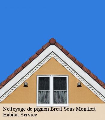 Nettoyage de pignon