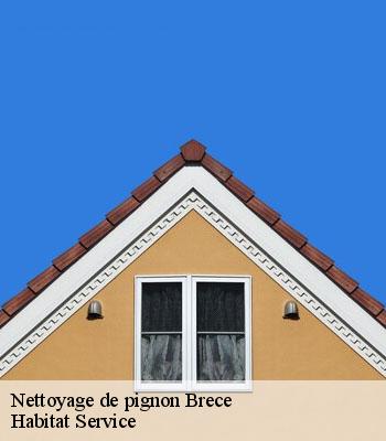 Nettoyage de pignon