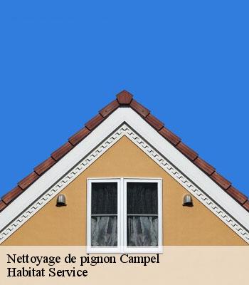 Nettoyage de pignon