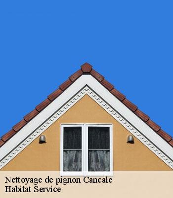 Nettoyage de pignon