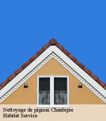 Nettoyage de pignon