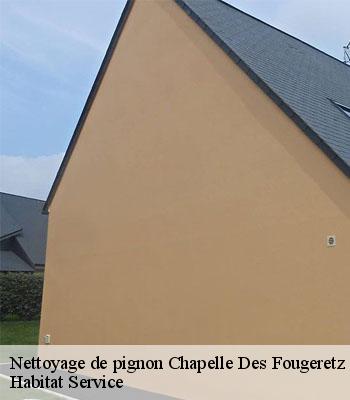 Nettoyage de pignon